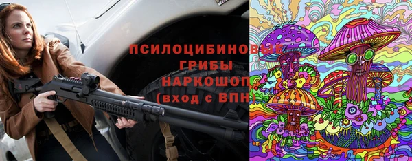 apvp Алзамай