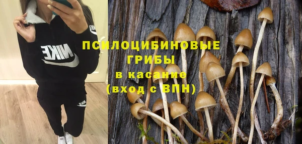 эйфоретик Алексин