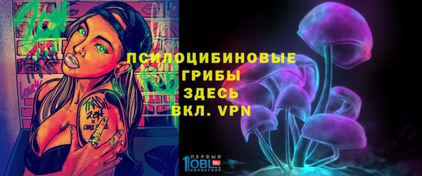 эйфоретик Алексин