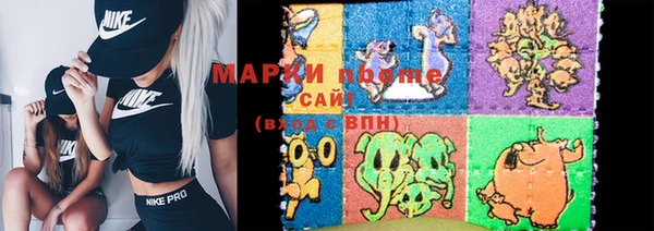 apvp Алзамай